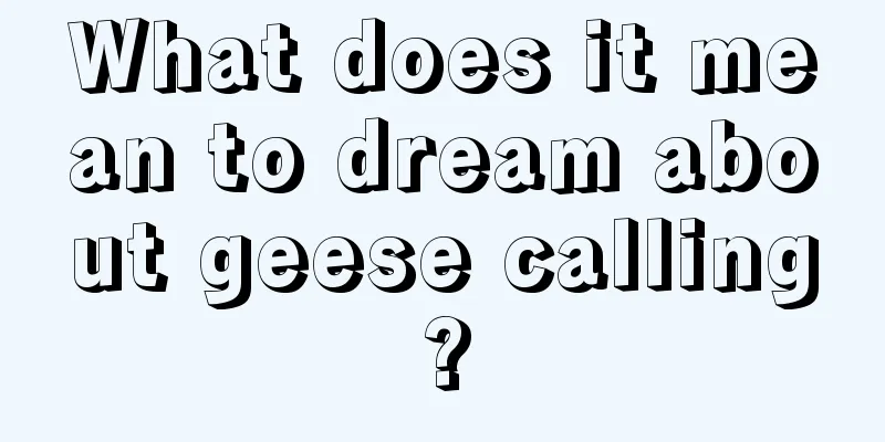 What does it mean to dream about geese calling?