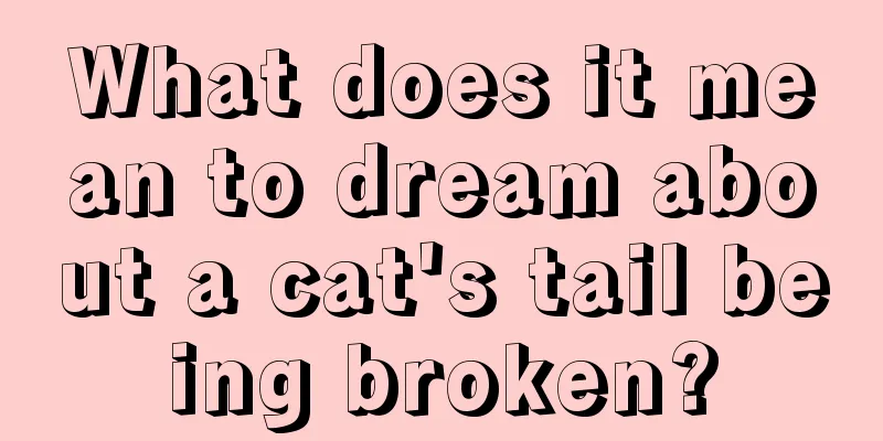 What does it mean to dream about a cat's tail being broken?