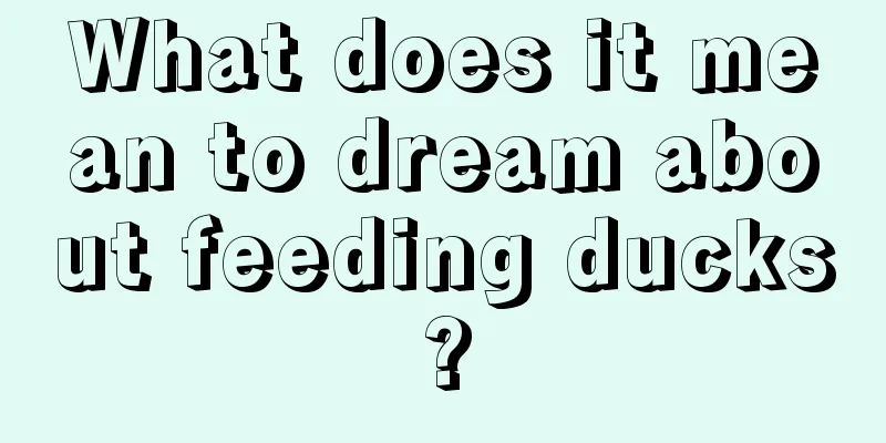 What does it mean to dream about feeding ducks?