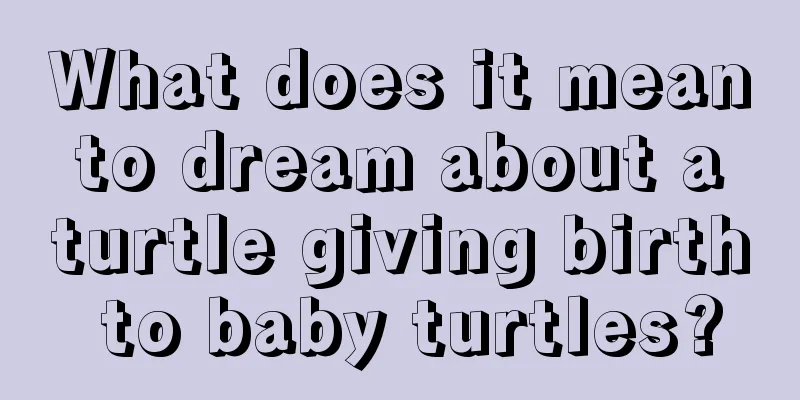 What does it mean to dream about a turtle giving birth to baby turtles?