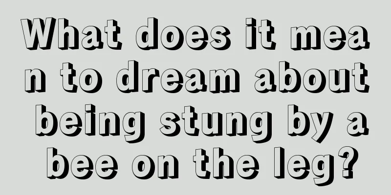 What does it mean to dream about being stung by a bee on the leg?