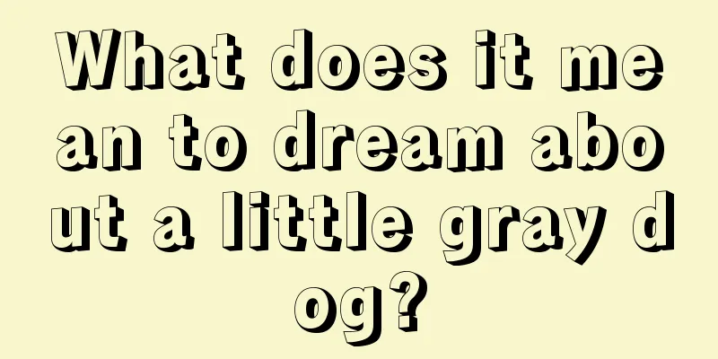 What does it mean to dream about a little gray dog?