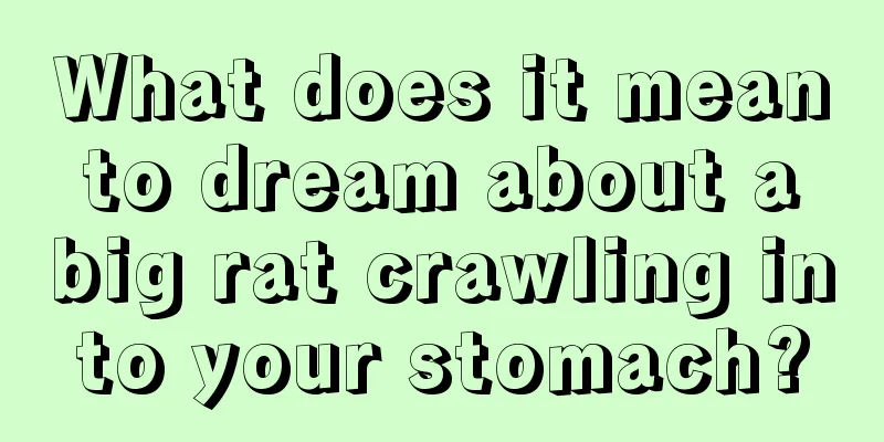 What does it mean to dream about a big rat crawling into your stomach?