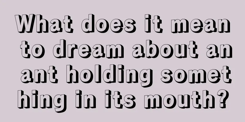 What does it mean to dream about an ant holding something in its mouth?