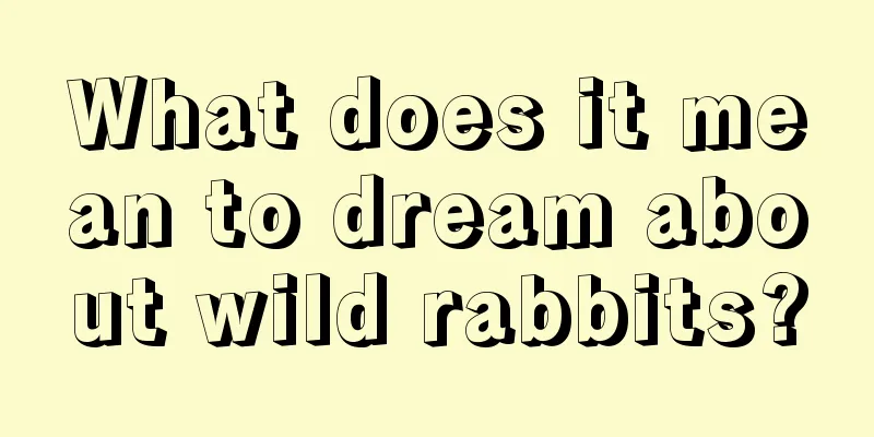 What does it mean to dream about wild rabbits?