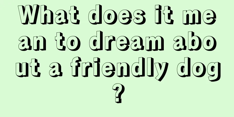 What does it mean to dream about a friendly dog?