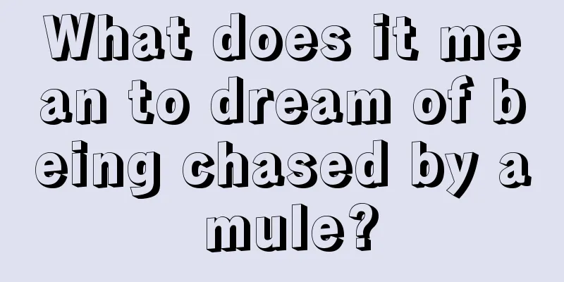 What does it mean to dream of being chased by a mule?