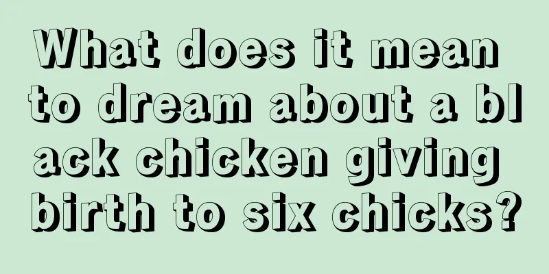 What does it mean to dream about a black chicken giving birth to six chicks?