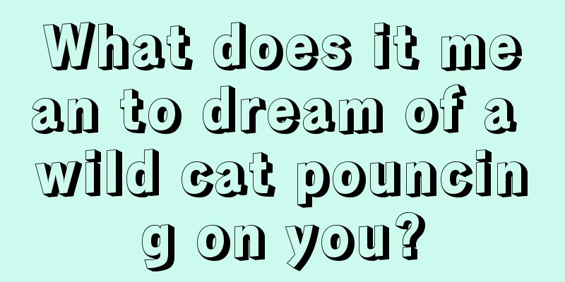 What does it mean to dream of a wild cat pouncing on you?