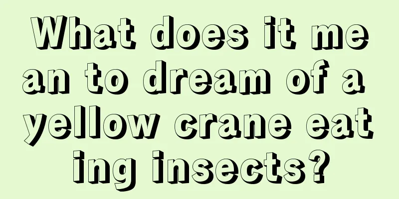 What does it mean to dream of a yellow crane eating insects?