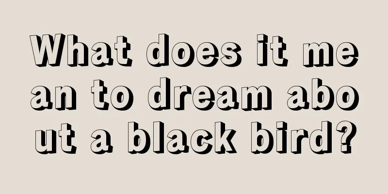 What does it mean to dream about a black bird?