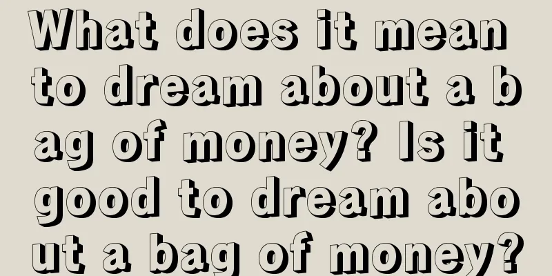 What does it mean to dream about a bag of money? Is it good to dream about a bag of money?