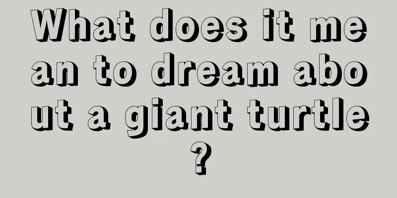 What does it mean to dream about a giant turtle?