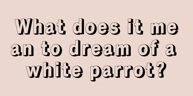 What does it mean to dream of a white parrot?