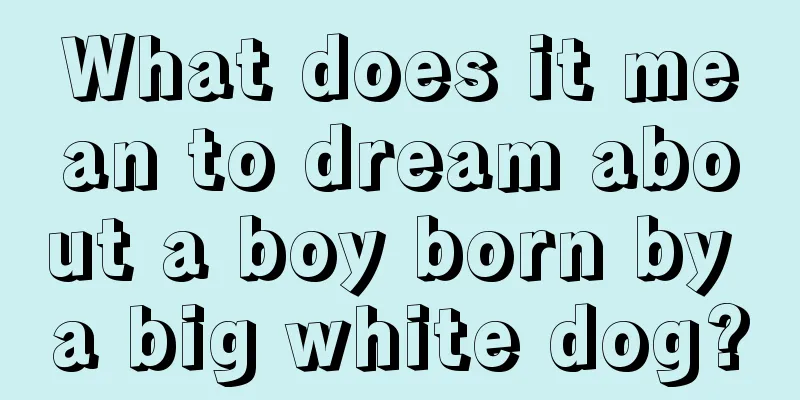 What does it mean to dream about a boy born by a big white dog?