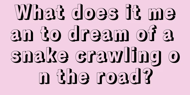 What does it mean to dream of a snake crawling on the road?