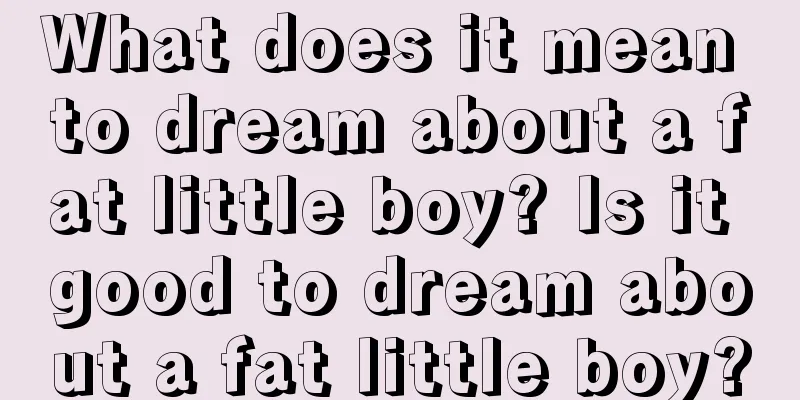 What does it mean to dream about a fat little boy? Is it good to dream about a fat little boy?