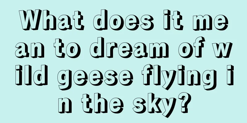 What does it mean to dream of wild geese flying in the sky?