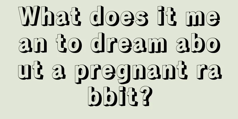 What does it mean to dream about a pregnant rabbit?