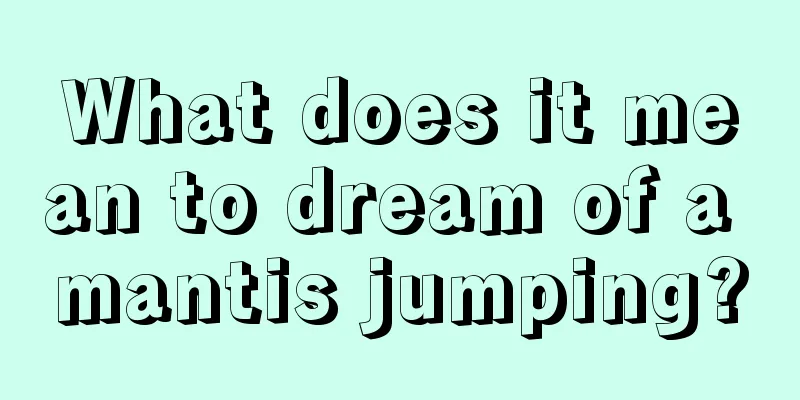 What does it mean to dream of a mantis jumping?