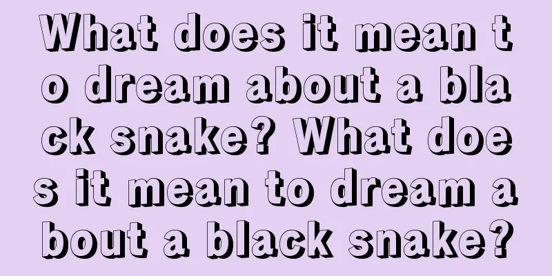 What does it mean to dream about a black snake? What does it mean to dream about a black snake?