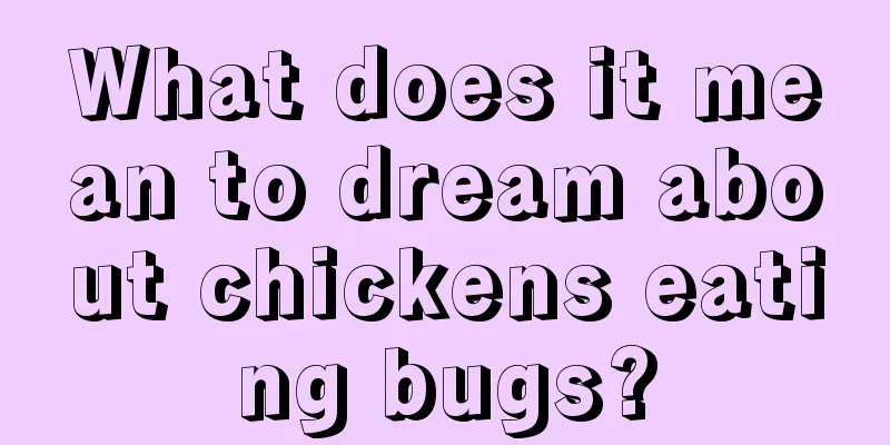 What does it mean to dream about chickens eating bugs?