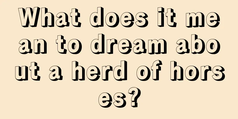 What does it mean to dream about a herd of horses?