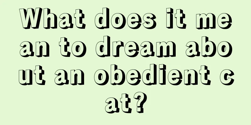 What does it mean to dream about an obedient cat?