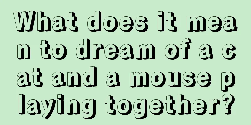 What does it mean to dream of a cat and a mouse playing together?