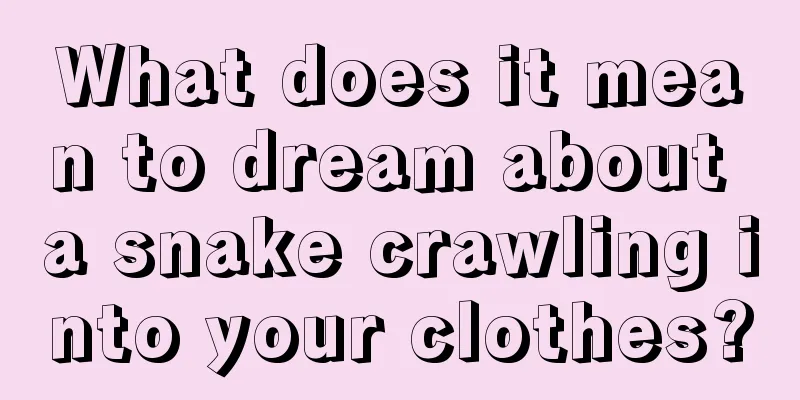 What does it mean to dream about a snake crawling into your clothes?