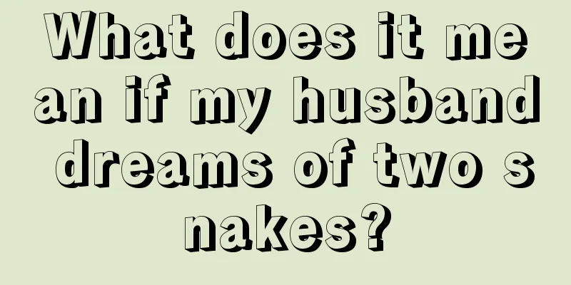 What does it mean if my husband dreams of two snakes?