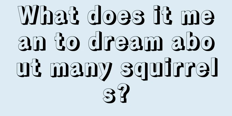 What does it mean to dream about many squirrels?