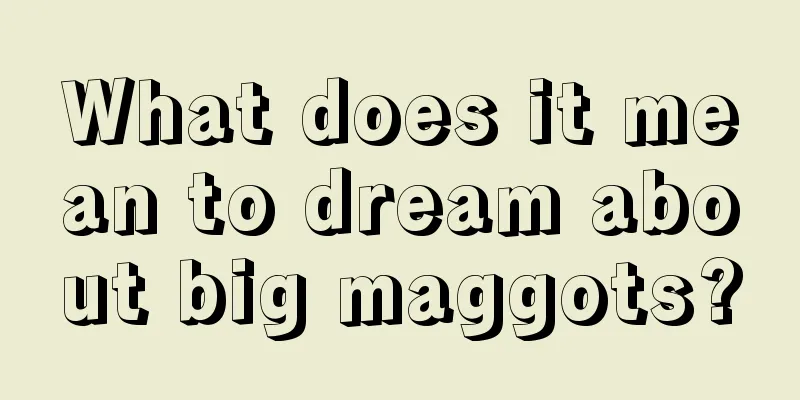 What does it mean to dream about big maggots?