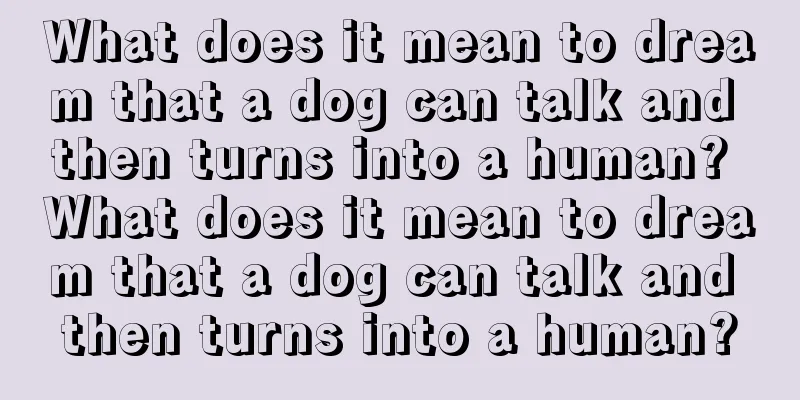 What does it mean to dream that a dog can talk and then turns into a human? What does it mean to dream that a dog can talk and then turns into a human?