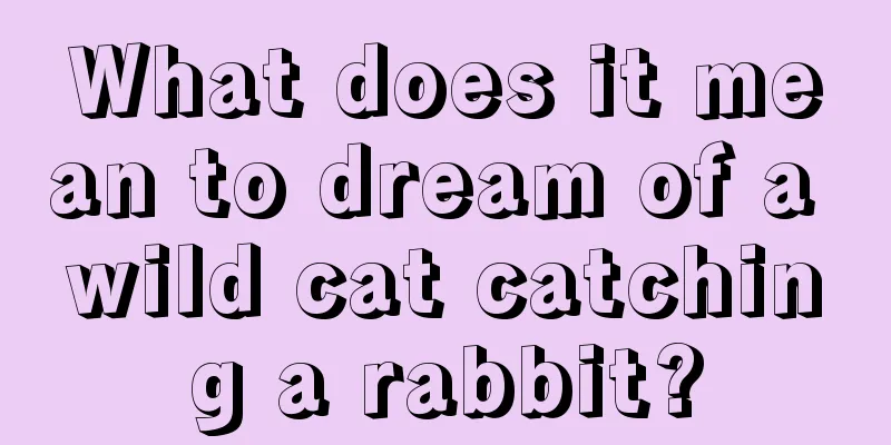 What does it mean to dream of a wild cat catching a rabbit?