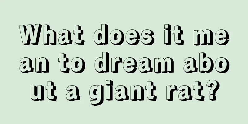 What does it mean to dream about a giant rat?