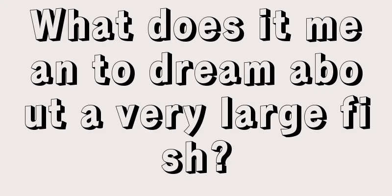 What does it mean to dream about a very large fish?