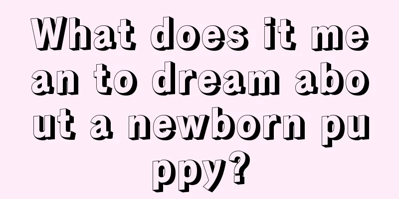 What does it mean to dream about a newborn puppy?