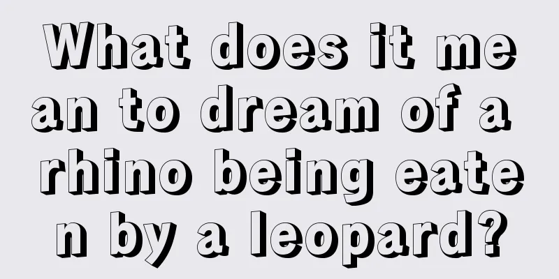 What does it mean to dream of a rhino being eaten by a leopard?