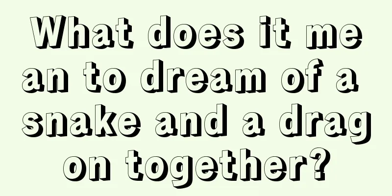 What does it mean to dream of a snake and a dragon together?