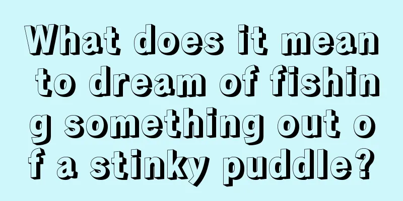 What does it mean to dream of fishing something out of a stinky puddle?