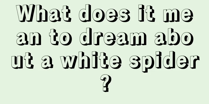 What does it mean to dream about a white spider?