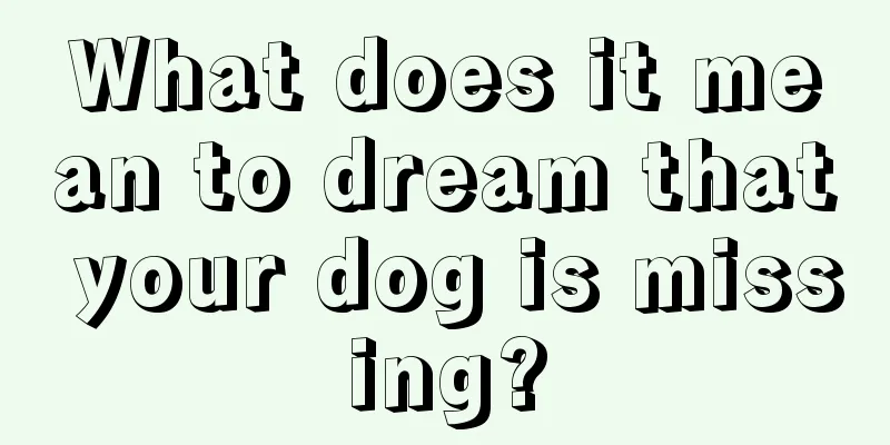 What does it mean to dream that your dog is missing?