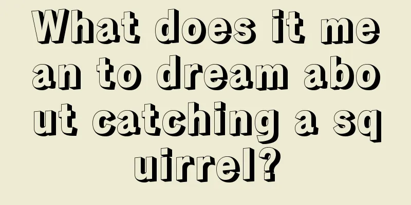 What does it mean to dream about catching a squirrel?