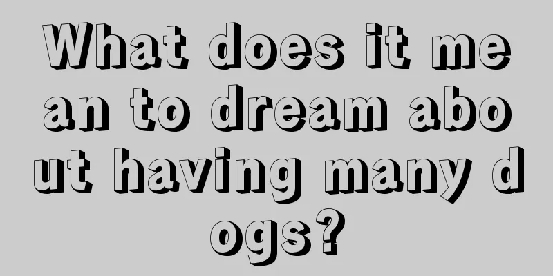 What does it mean to dream about having many dogs?