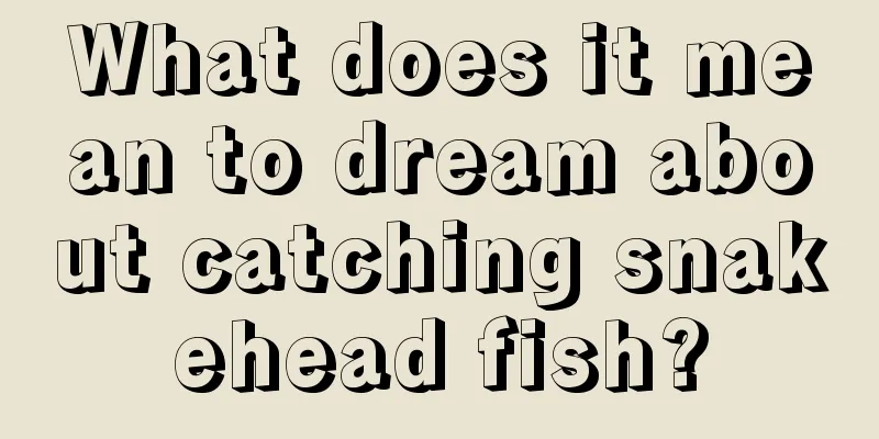 What does it mean to dream about catching snakehead fish?