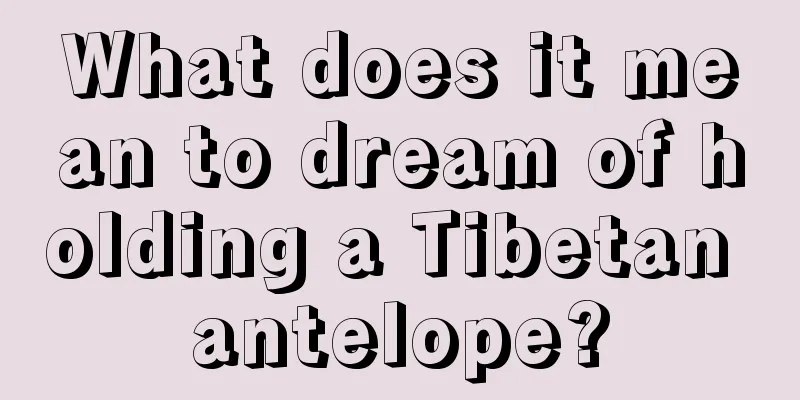 What does it mean to dream of holding a Tibetan antelope?