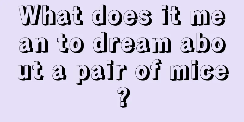 What does it mean to dream about a pair of mice?