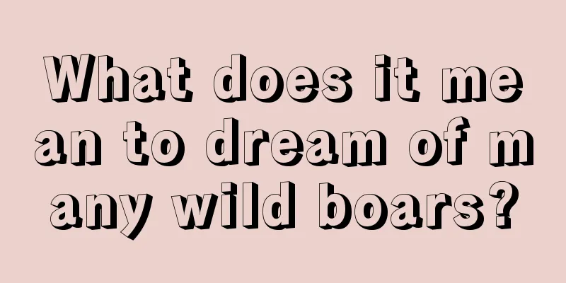 What does it mean to dream of many wild boars?