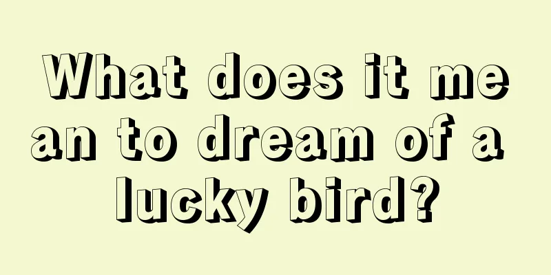 What does it mean to dream of a lucky bird?